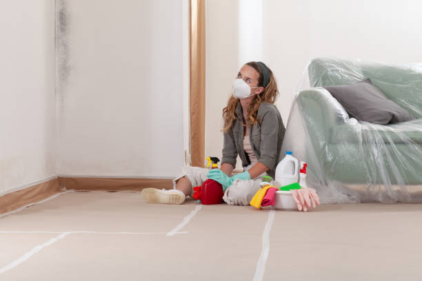 Reliable Mold Cleanup contractor in Seaside Heights, NJ by WQB Mold Removal